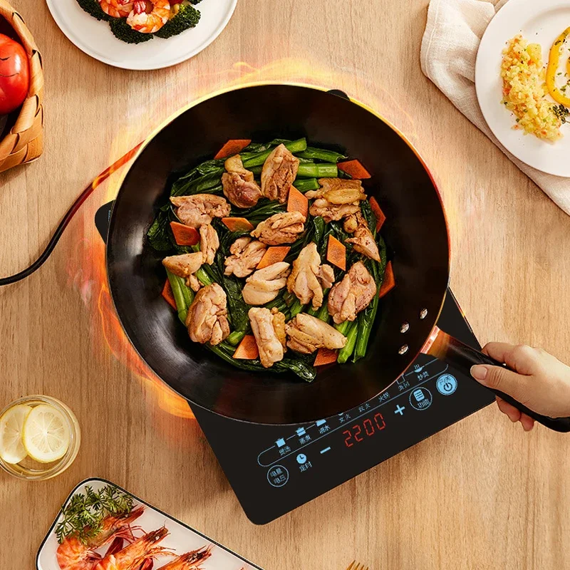 Casserole à induction 110V, ap - Kitchen Appliances In Japanese avis et prix